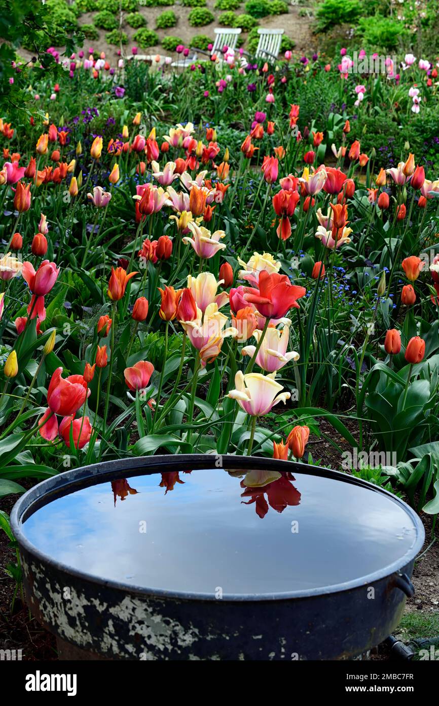 Famine pot filled with water hires stock photography and images Alamy