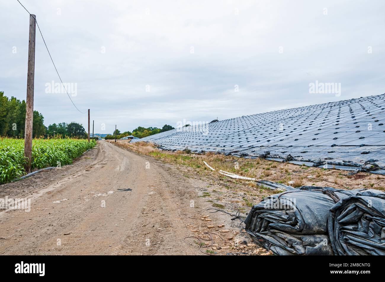 Weighted plastic sheeting covers a hillside in an active landfill.  Probably PVC geomembranes. Stock Photo