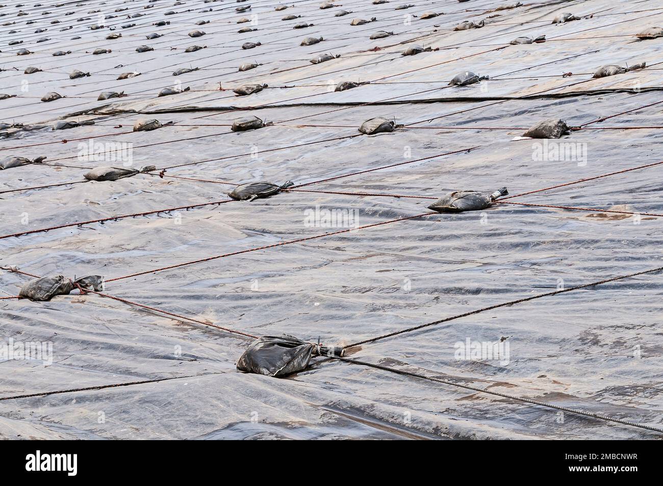 Weighted plastic sheeting covers a hillside in an active landfill.  Probably PVC geomembranes. Stock Photo