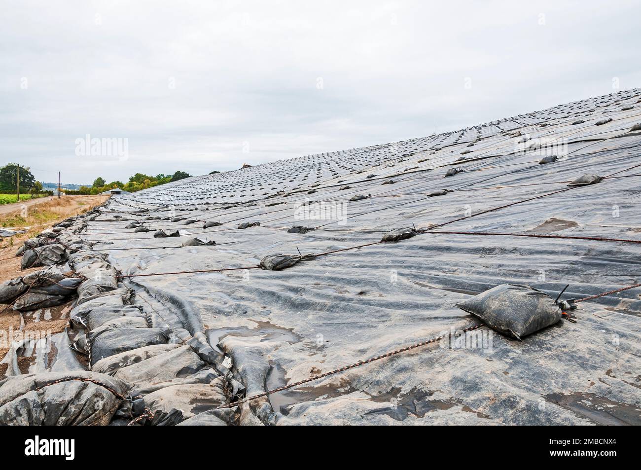 Weighted plastic sheeting covers a hillside in an active landfill.  Probably PVC geomembranes. Stock Photo