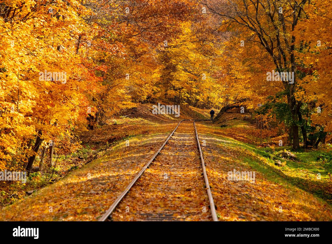 A hiker on the railway tracks in autumn. Stock Photo