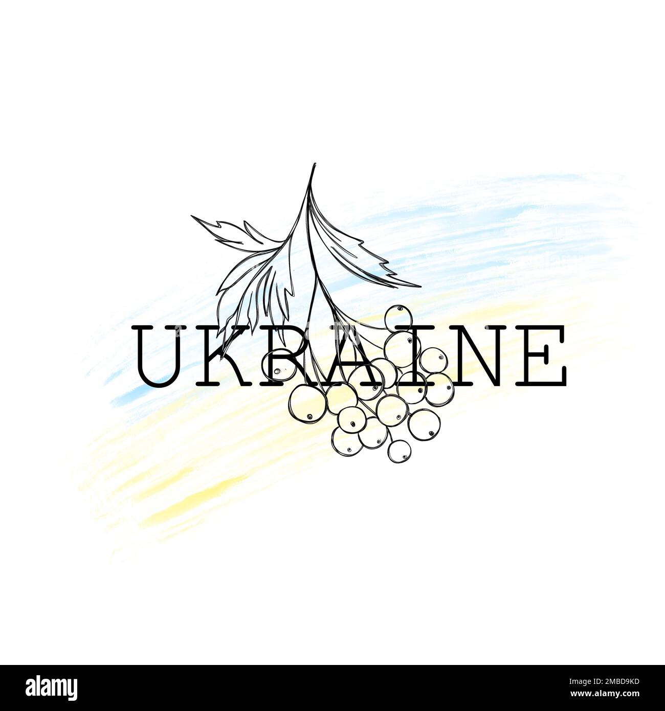 Stop the war in Ukraine. Ukrainian yellow-blue flag and viburnum ...