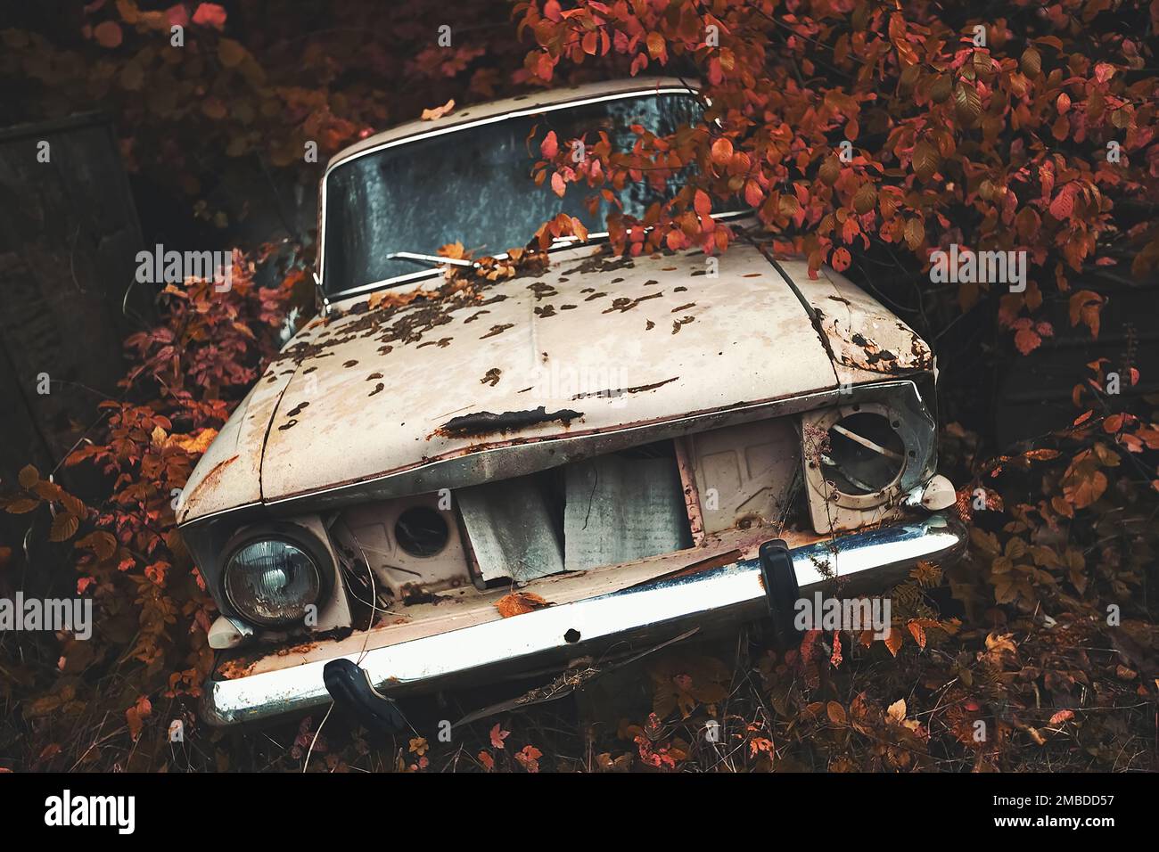 Destroyed car in an abandoned place. Lost place. An abandoned car decays with time. High quality photo. High quality photo Stock Photo