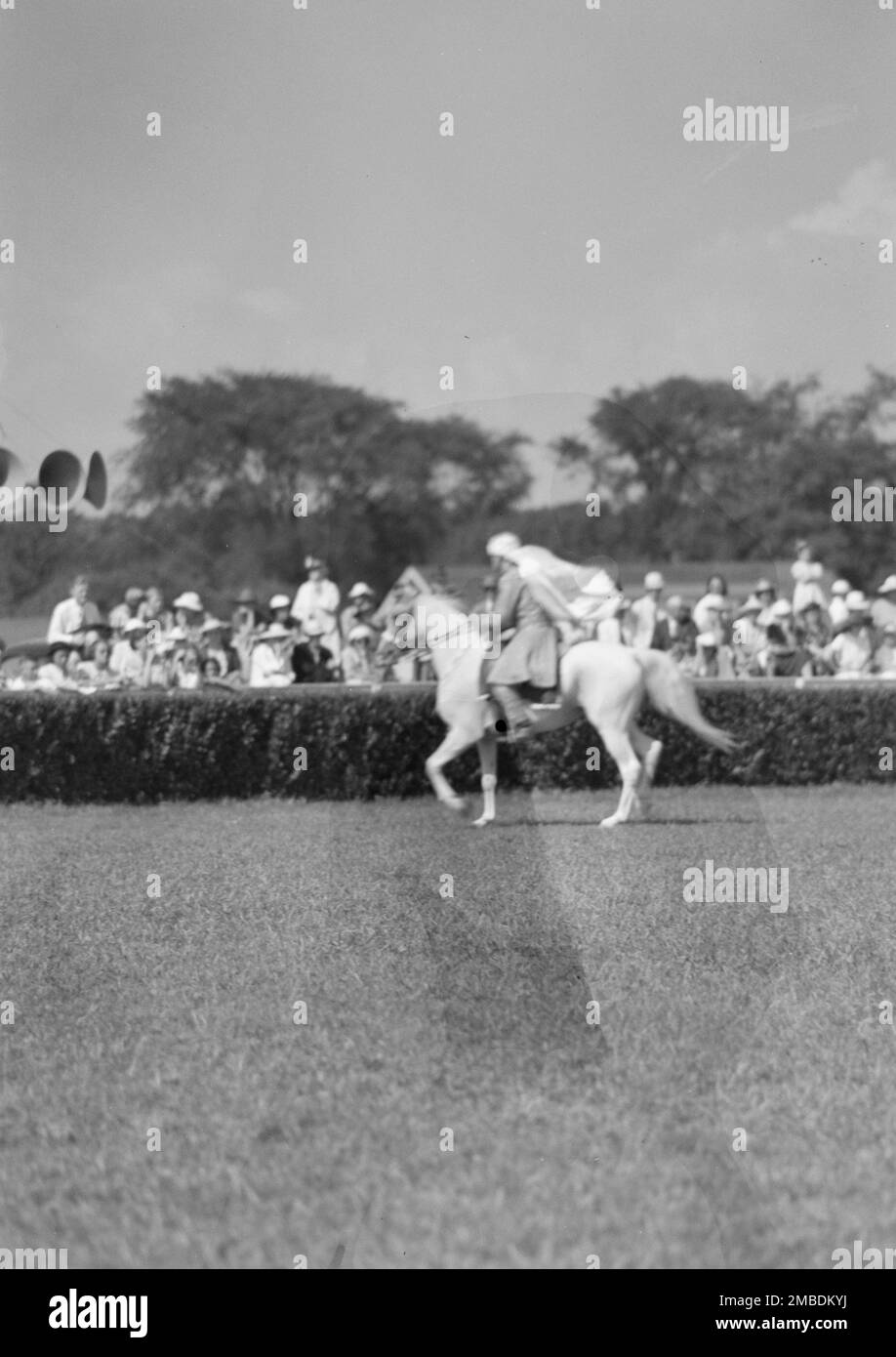 1920s horse jumping hires stock photography and images Alamy