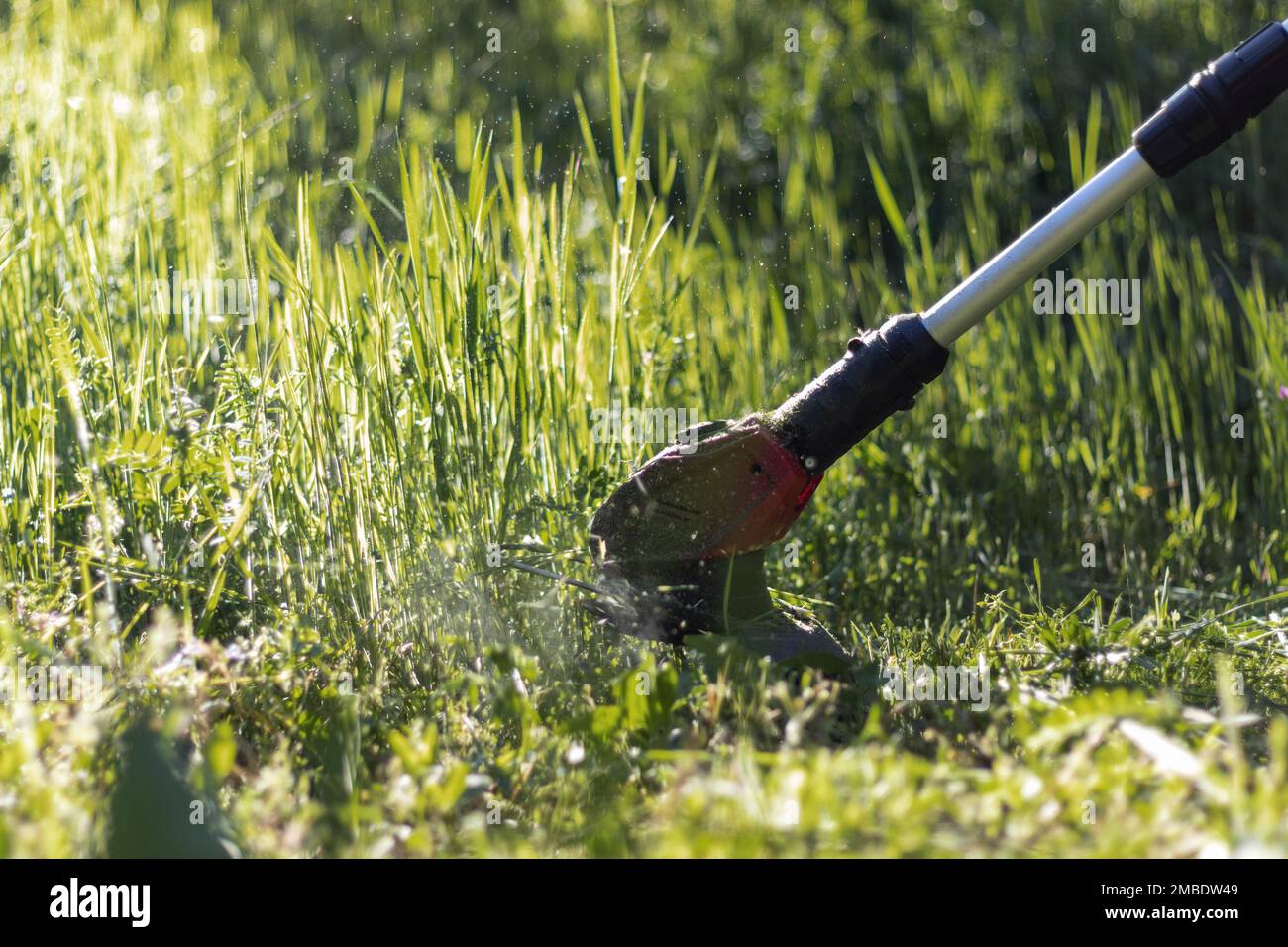 Cutting green grass with electric scythe on lawn close up in motion