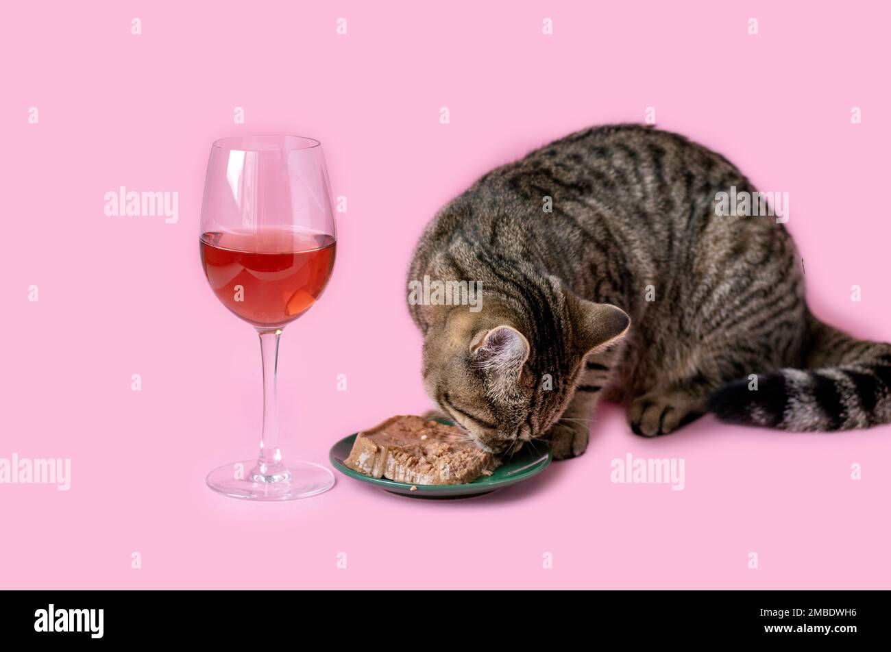 orange cat holding a glass of wine