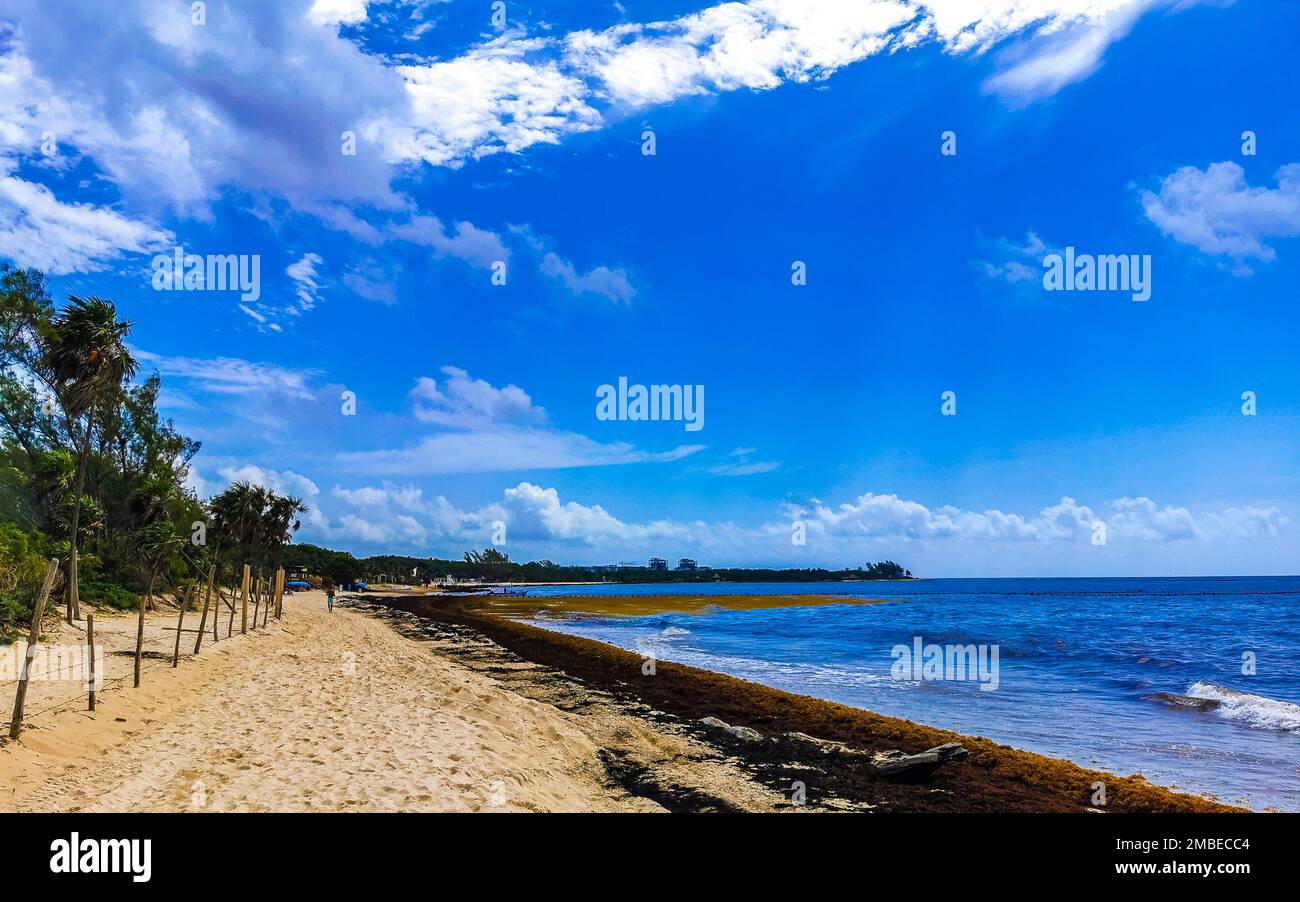 The beautiful Caribbean beach totally filthy and dirty the nasty ...