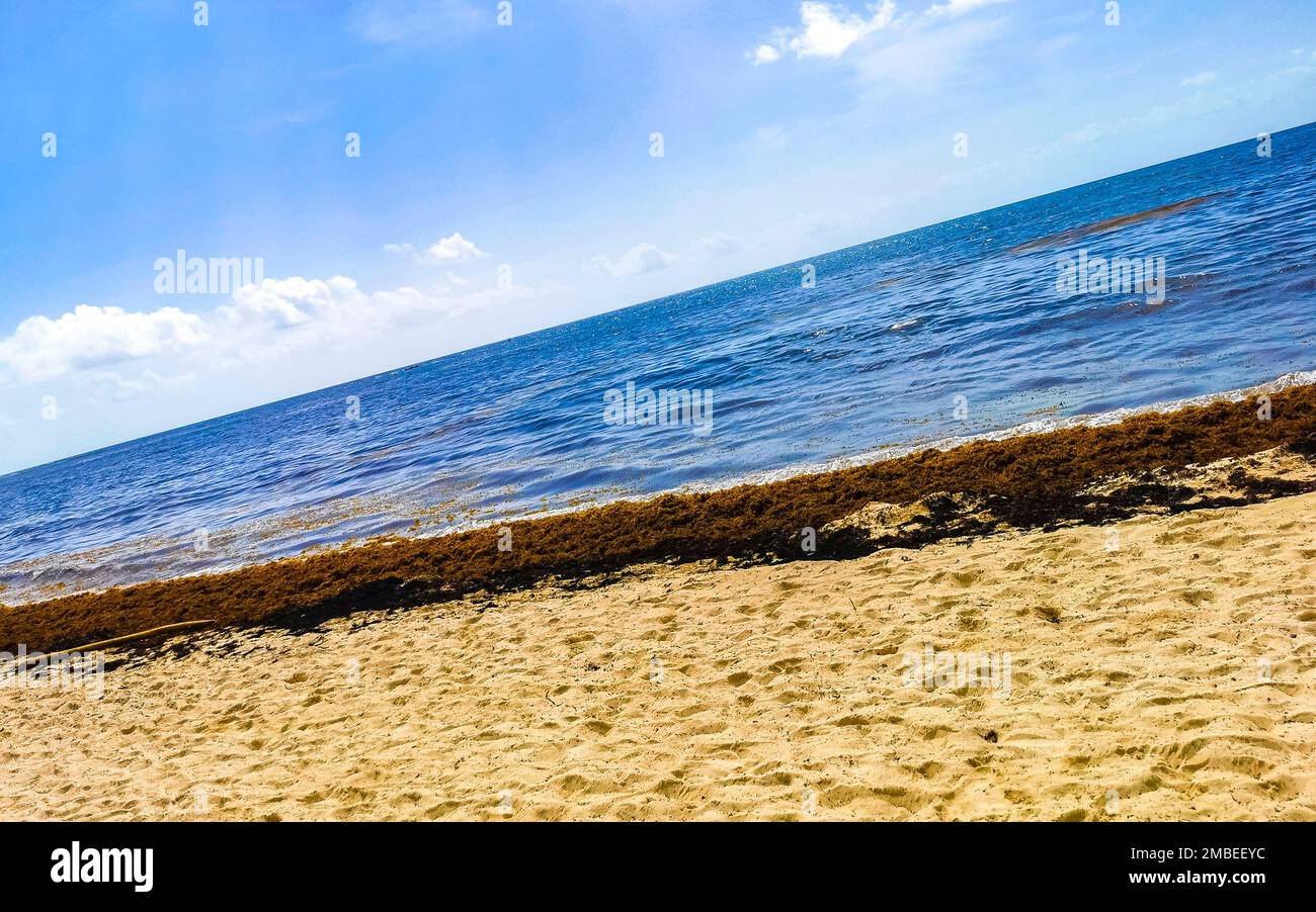 The beautiful Caribbean beach totally filthy and dirty the nasty ...