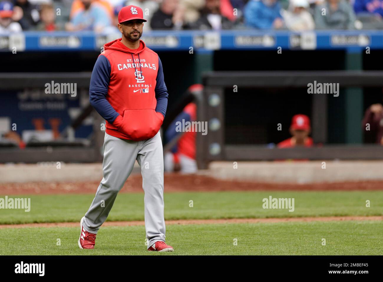 St. Louis Cardinals manager Oliver Marmol walks out for a pitchers change  during the fifth inning of a baseball game against the New York Mets on  Thursday, May 19, 2022, in New