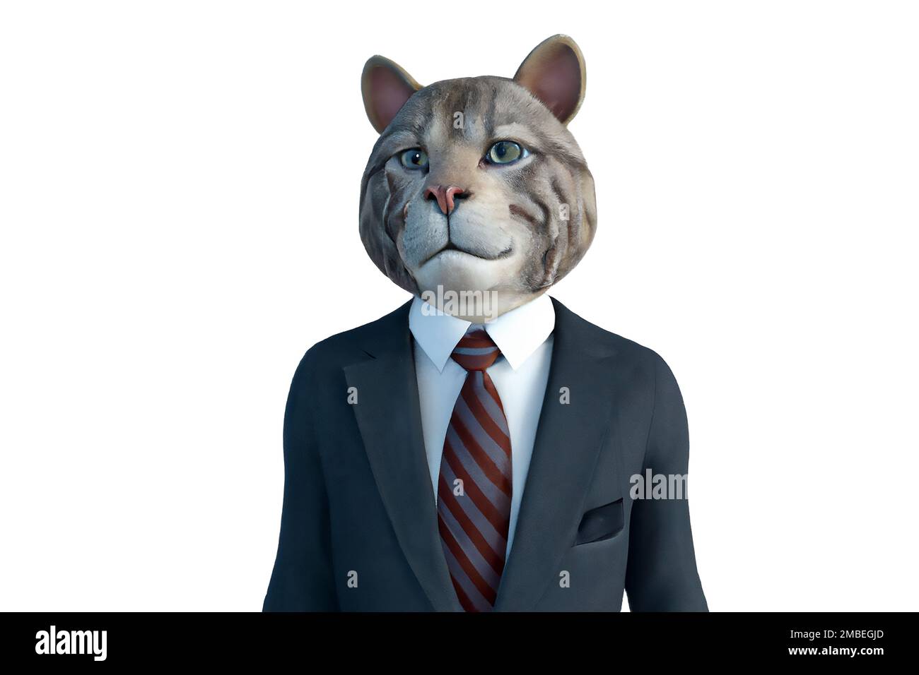 Cat in a business suit sales