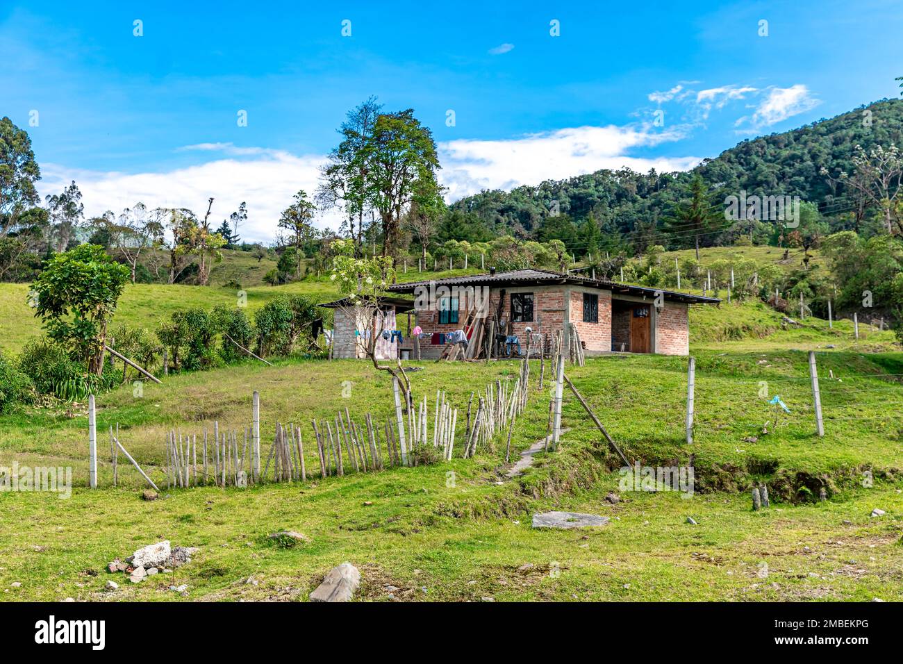nature in the mountain landscape of Colombia Stock Photo - Alamy