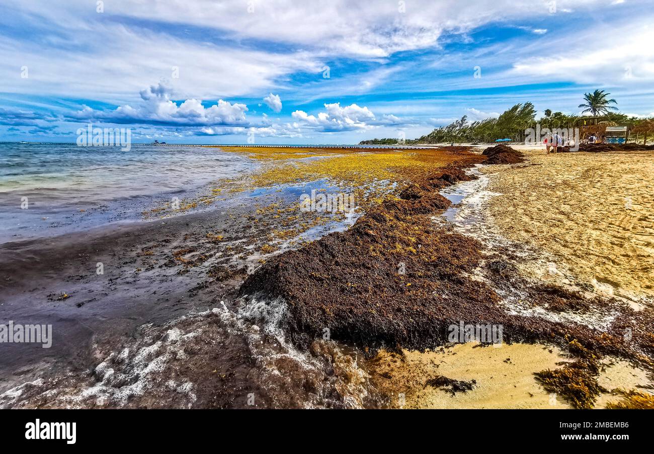 The beautiful Caribbean beach totally filthy and dirty the nasty ...
