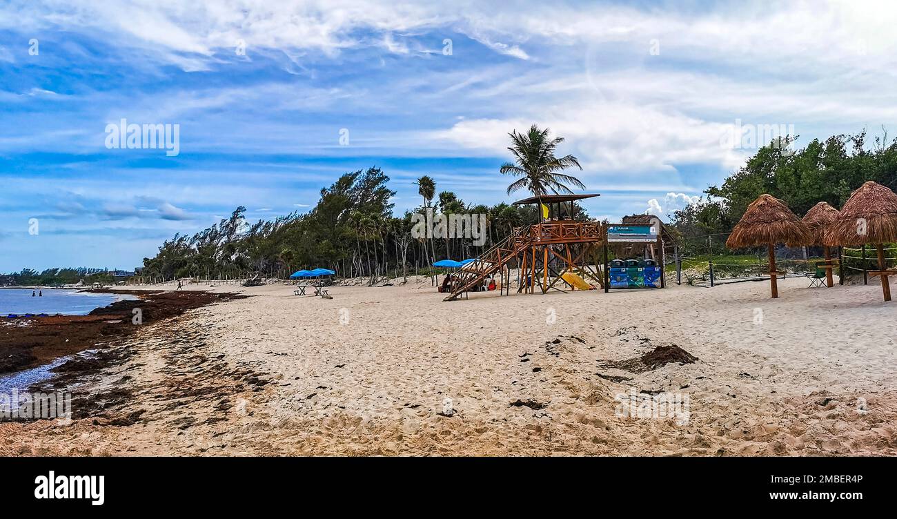 The beautiful Caribbean beach totally filthy and dirty the nasty ...