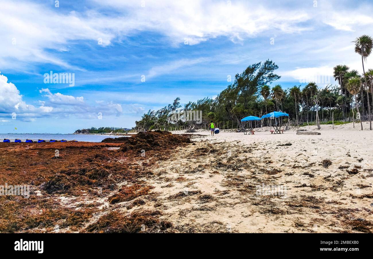 The beautiful Caribbean beach totally filthy and dirty the nasty ...