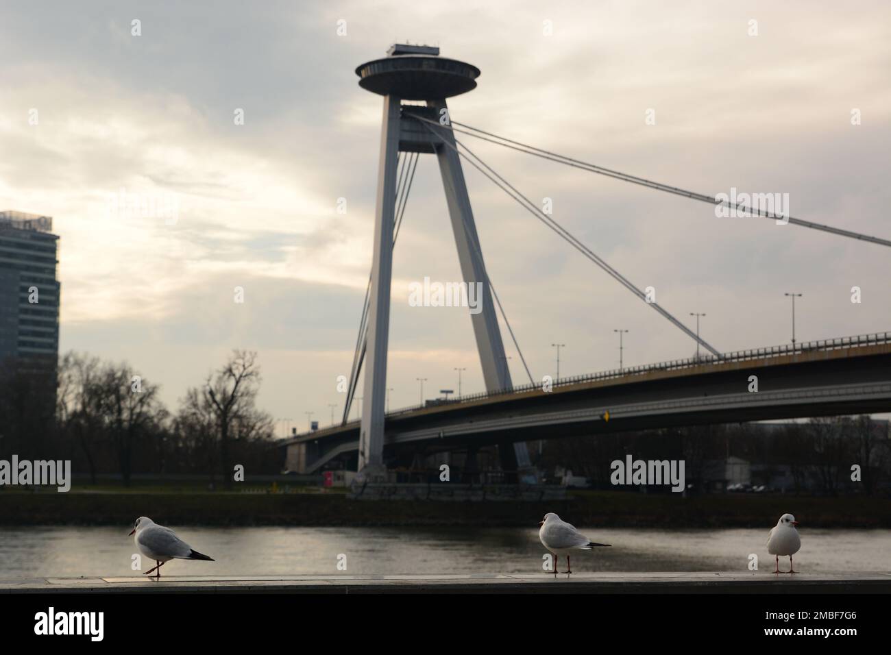 UFO tower and Most SNP. Bratislava. Slovakia Stock Photo