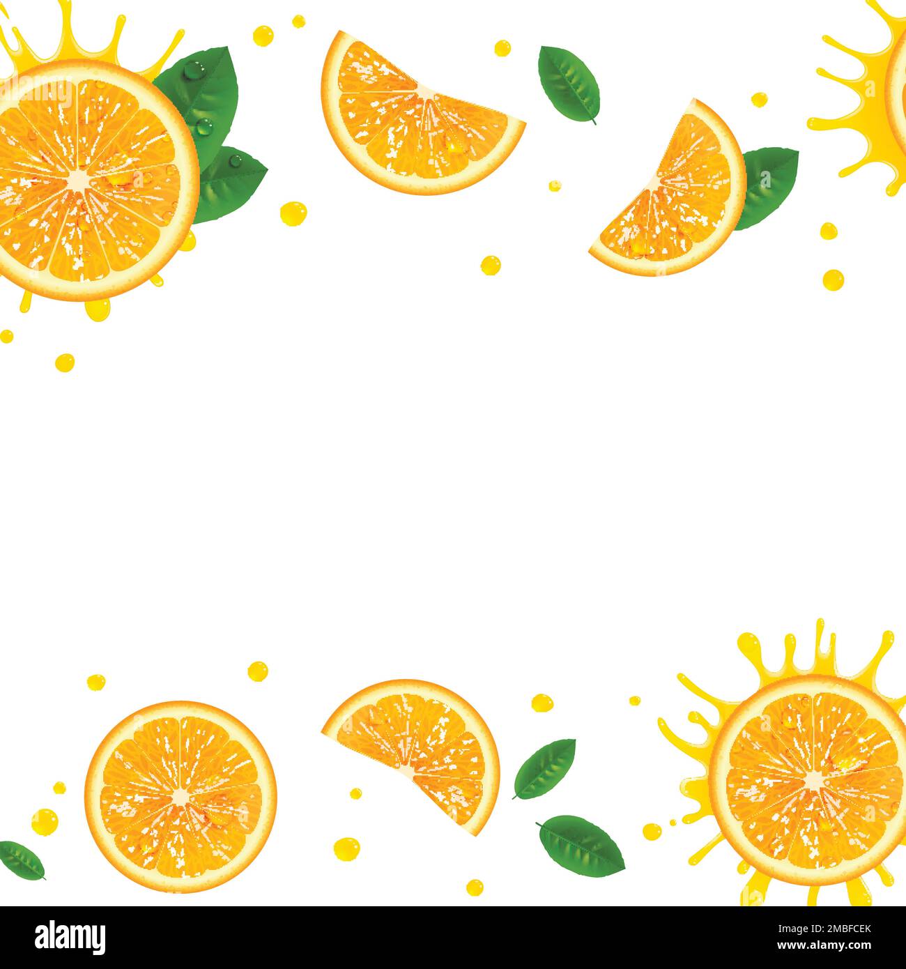 banner with juicy orange slices on a white background Stock Vector