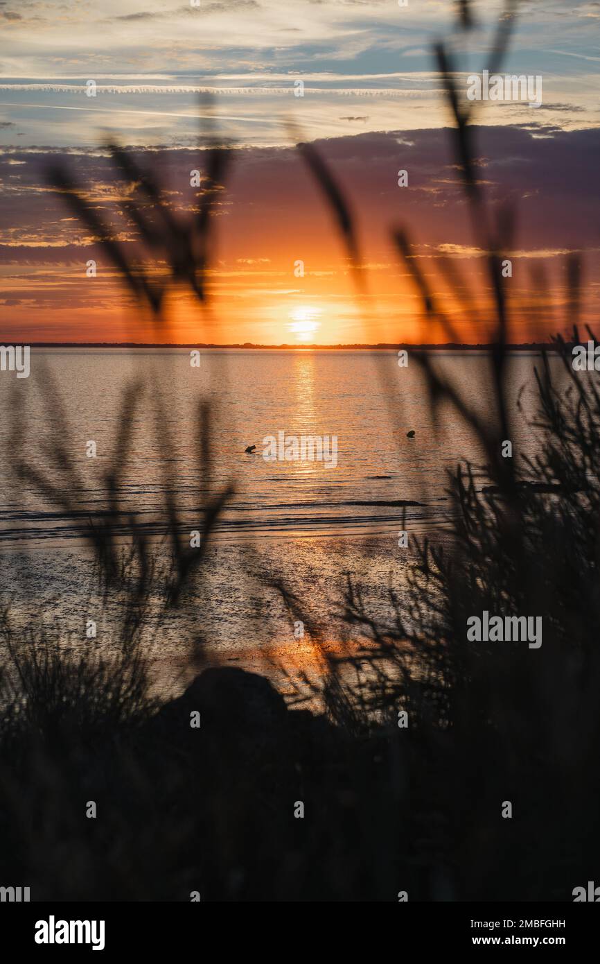 A vertical shot of a lake reflecting the sunset above in the evening ...