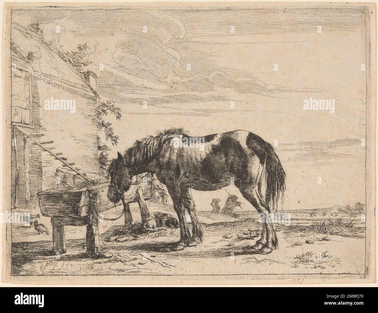 A Horse Bound to a Feeding Trough, 1651 Stock Photo Alamy