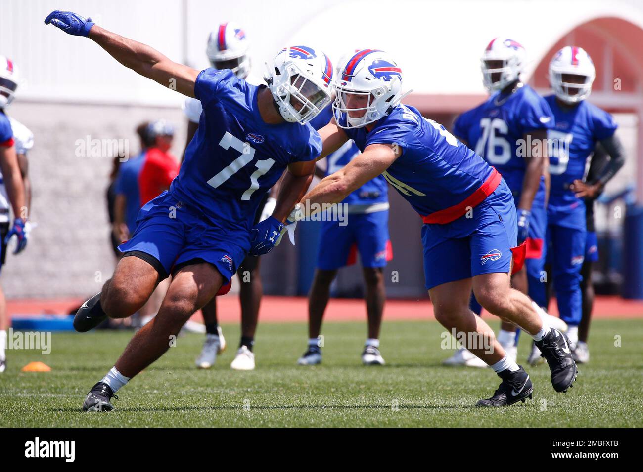 hammond buffalo bills