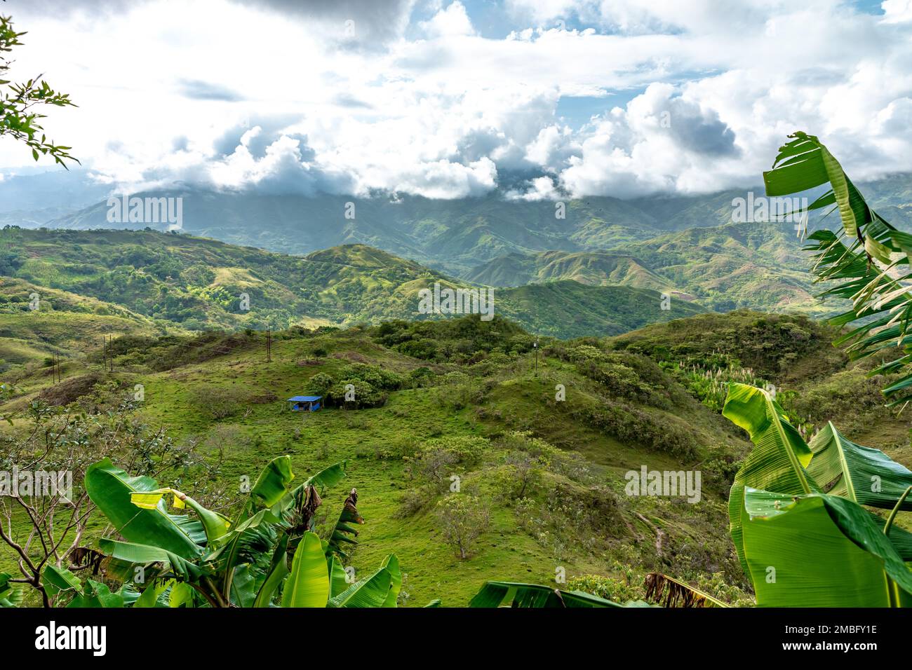 nature in the mountain landscape of Colombia Stock Photo - Alamy