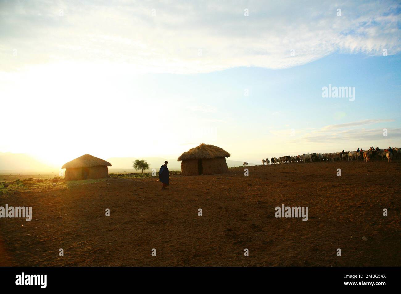 Bovine dung hut hi-res stock photography and images - Alamy