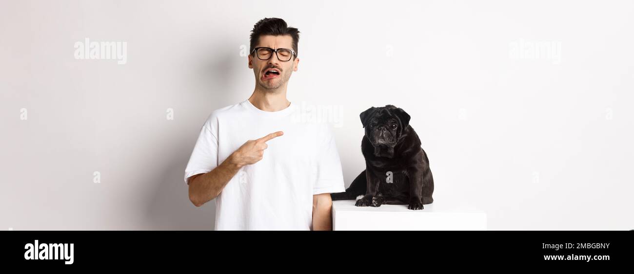 Upset crying man pointing at cute black pug and sobbing, complaining on his pet, standing sad against white background Stock Photo