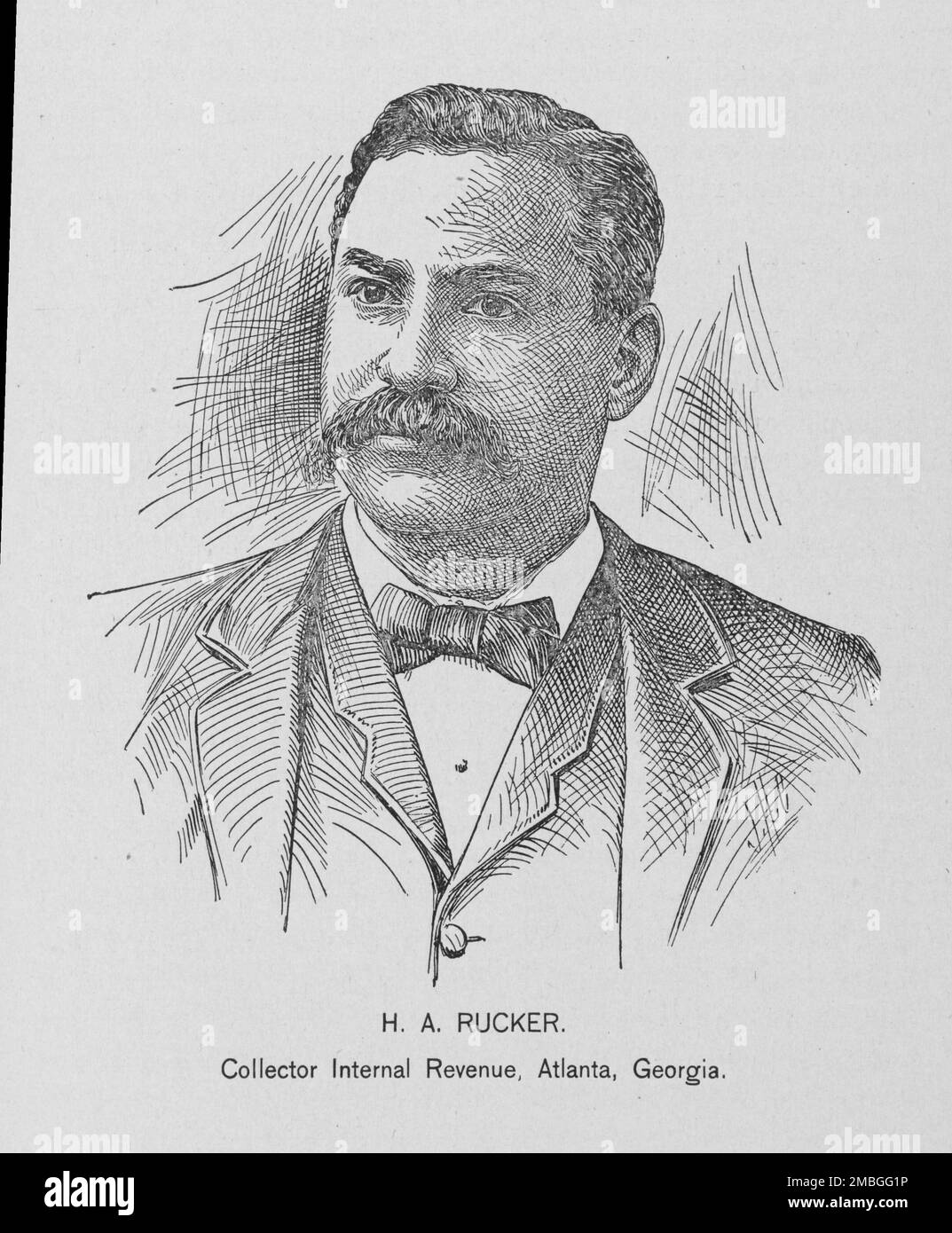 African american research library and cultural center hires stock