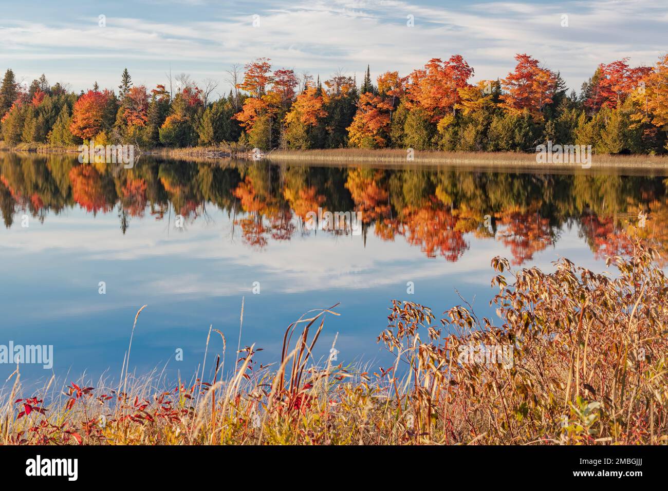 The tree line in the background creates gorgeous autumn reflections in the waters of Nineteen Lake, on Manitoulin Island, Ontario, Canada. Stock Photo