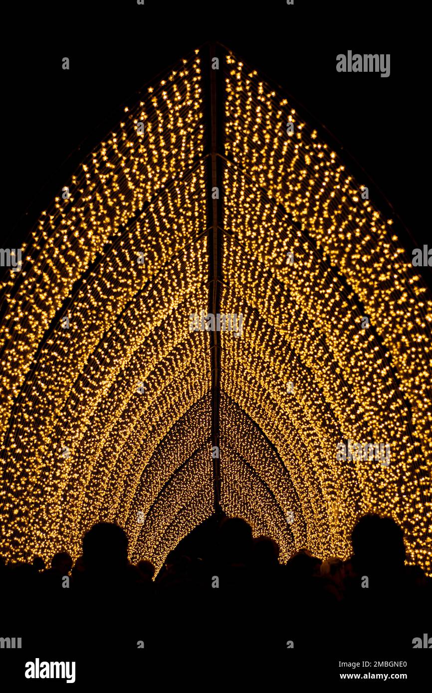 Christmas at Kew 2022 lights decorate the royal botanic gardens Stock