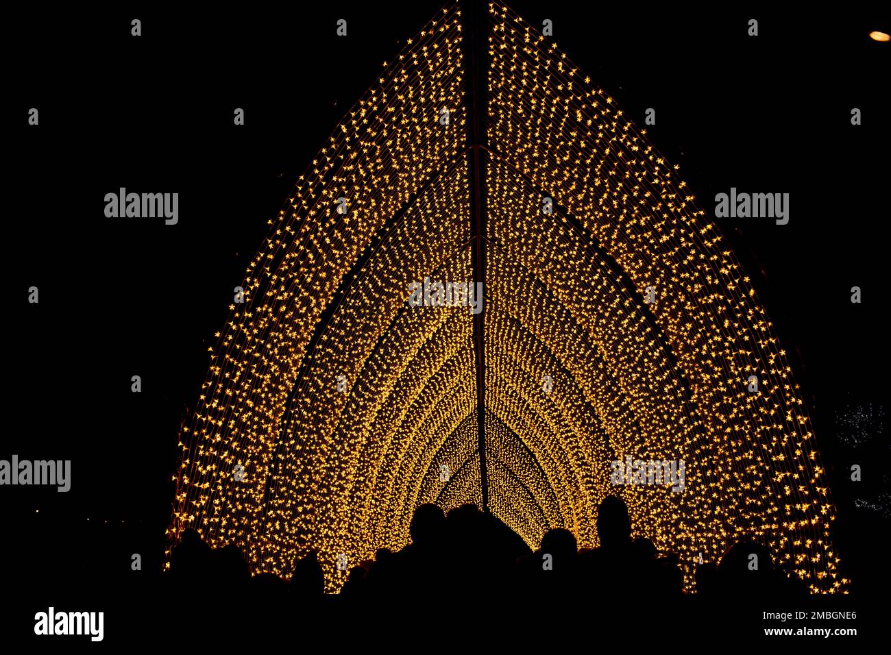 Christmas at Kew 2022 lights decorate the royal botanic gardens Stock