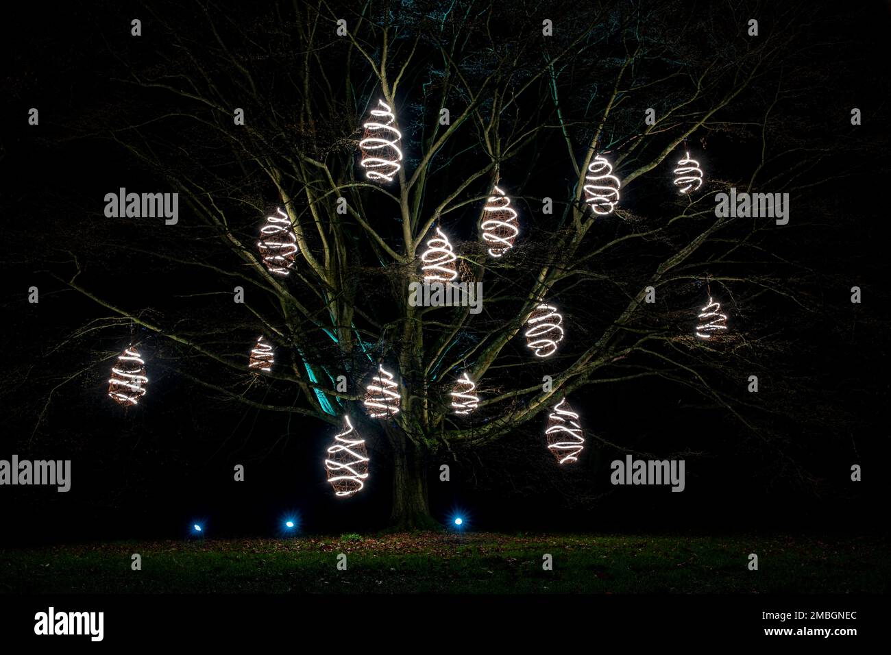 Christmas at Kew 2022 lights decorate the royal botanic gardens Stock