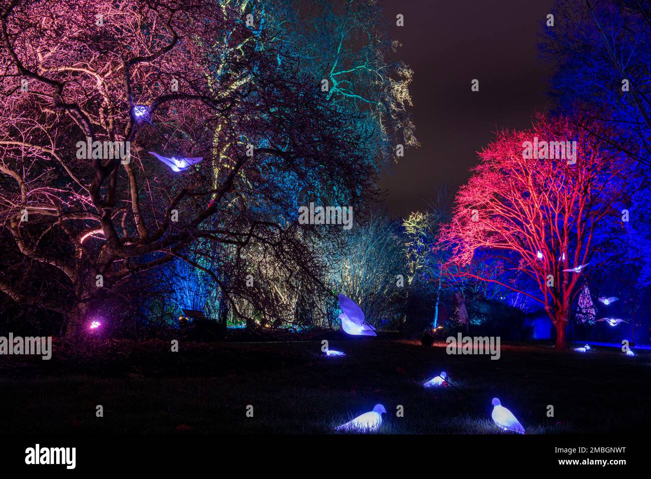 Kew gardens lights show hires stock photography and images Alamy