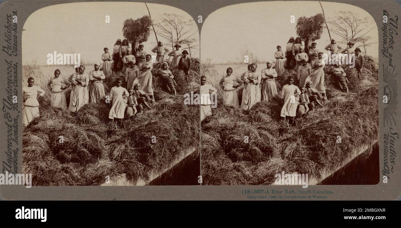 A rice raft, South Carolina, 1895 Stock Photo - Alamy