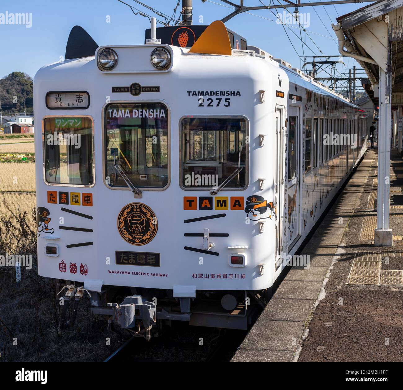 The Tama Densha train at Idakiso Station on the Wakayama Electric Railway in Japan. Stock Photo
