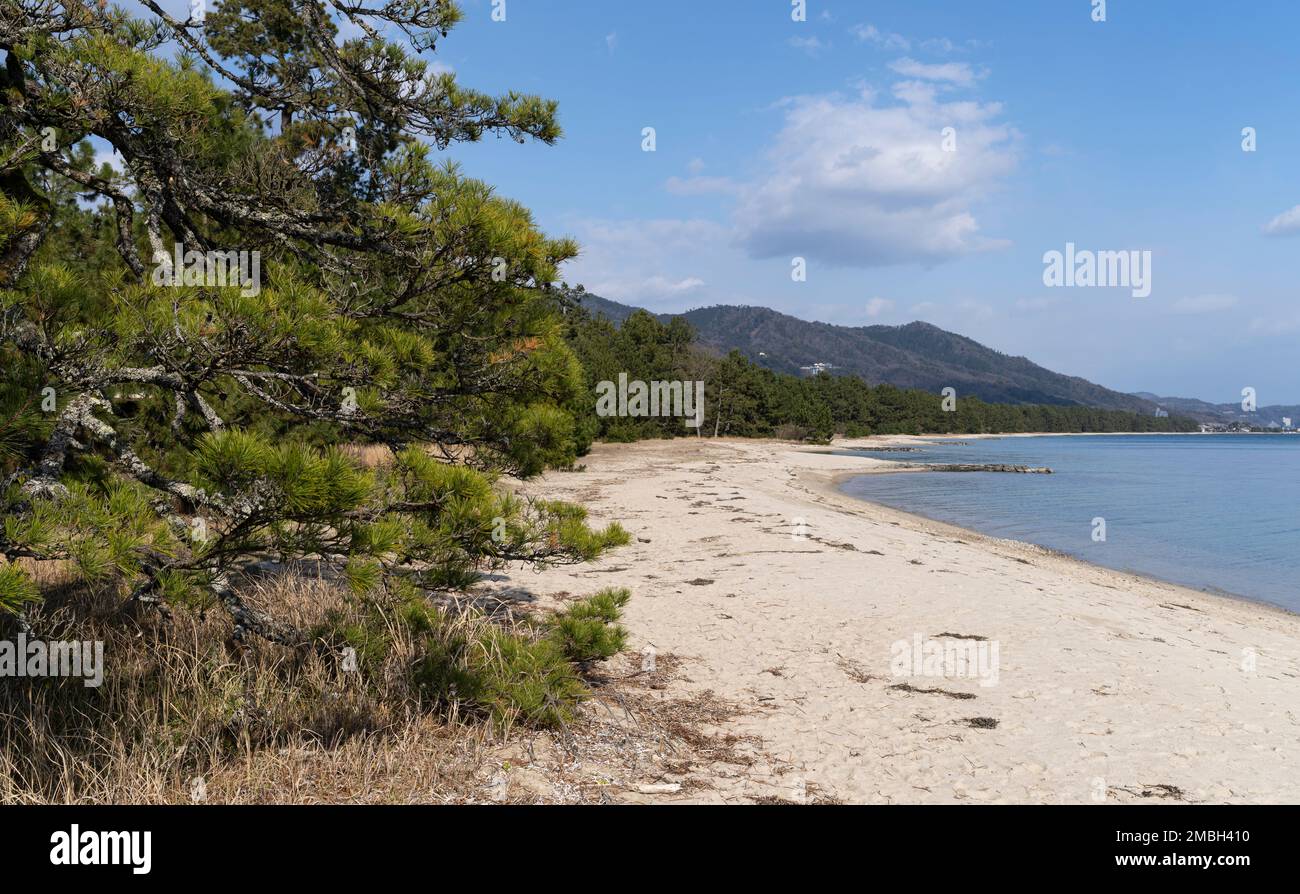 The beach and pine trees at Amanohashidate in Kyoto Prefecture, Japan, one of the three scenic views of Japan. Stock Photo