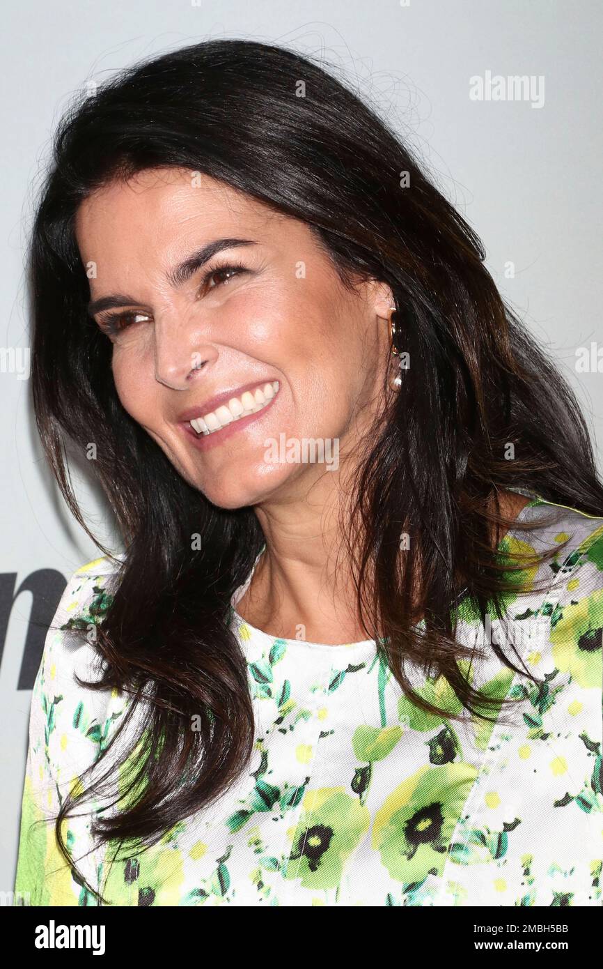 Angie Harmon Te