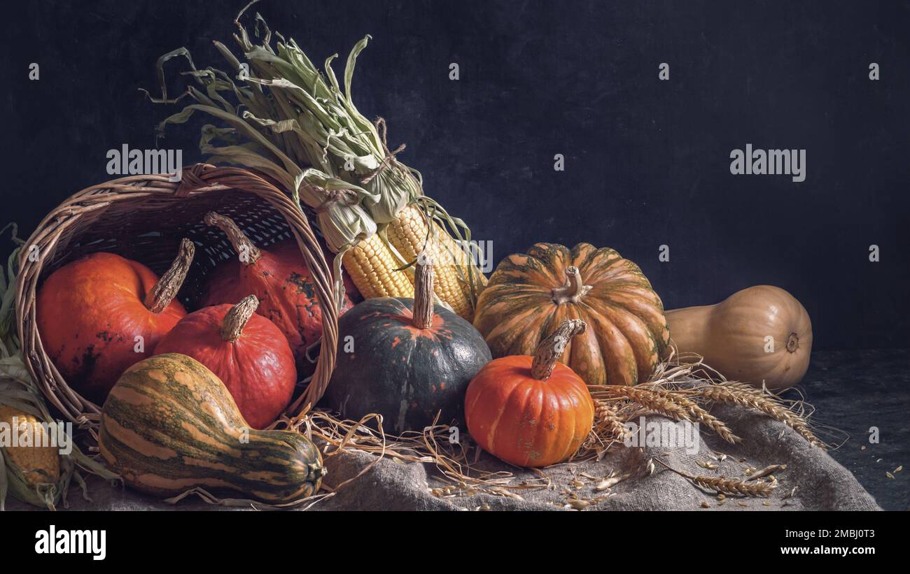 Autumn still life with pumpkin fruits of different colors and sizes and ...
