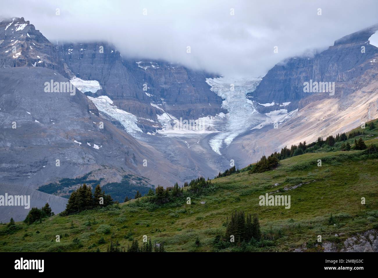 Dome Glacier and it's moraines seen from Wilcox Pass Trail, Columbia Icefields, Alberta Stock Photo