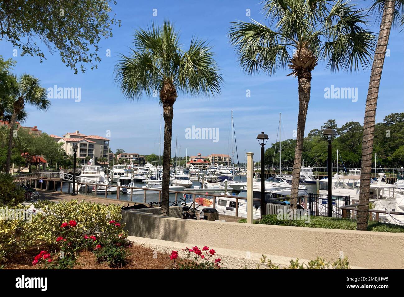 boats are tied to the docks at Shelter Cove Marina, on Hilton Head