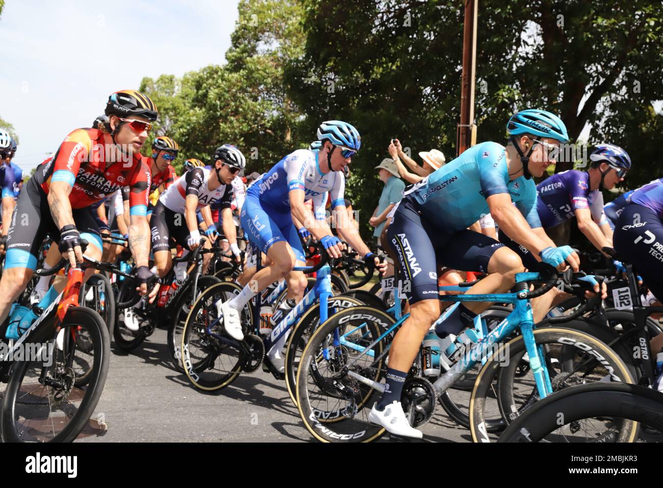Riders competing in Stage 3 of the 2023 Tour Down Under in Adelaide Australia Stock Photo