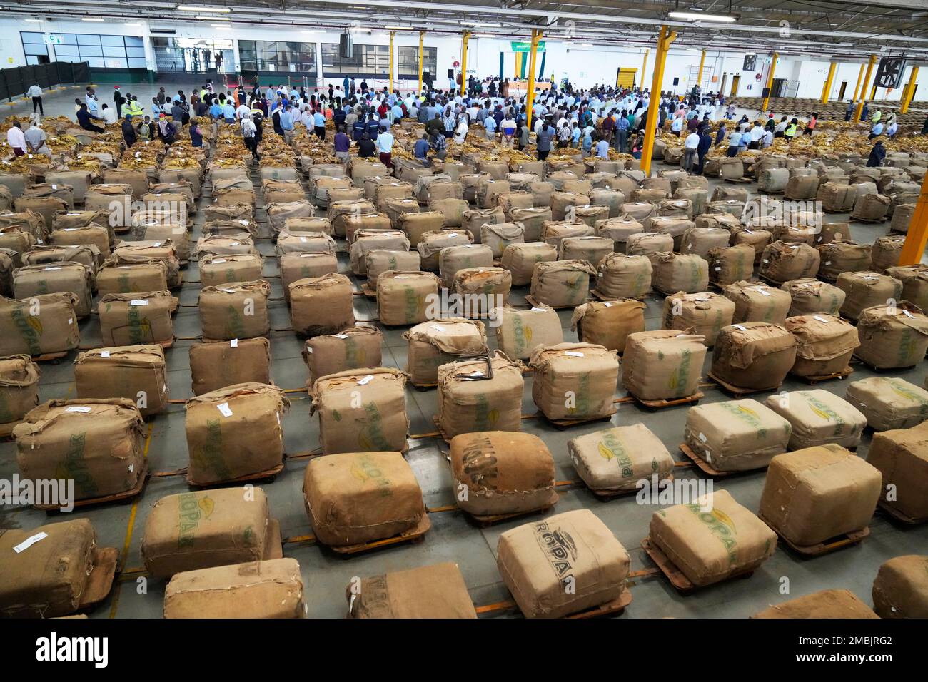 bales of tobacco hi-res stock photography and images Tobacco bales are lined up