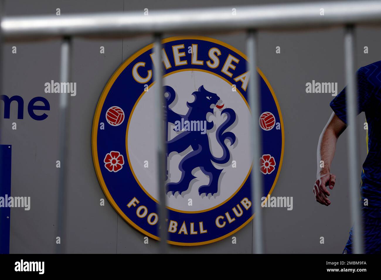 Chelsea, chelsea fc, chelsea football club, club, cubs, football, logo,  london, HD phone wallpaper