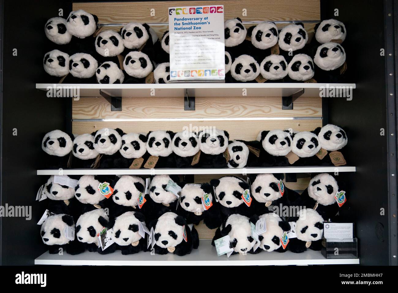 Panda stuffed animals are seen at the panda shop during the celebration of  the Smithsonian's National Zoo and Conservation Biology Institute, 50 years  of achievement in the care, conservation, breeding and study