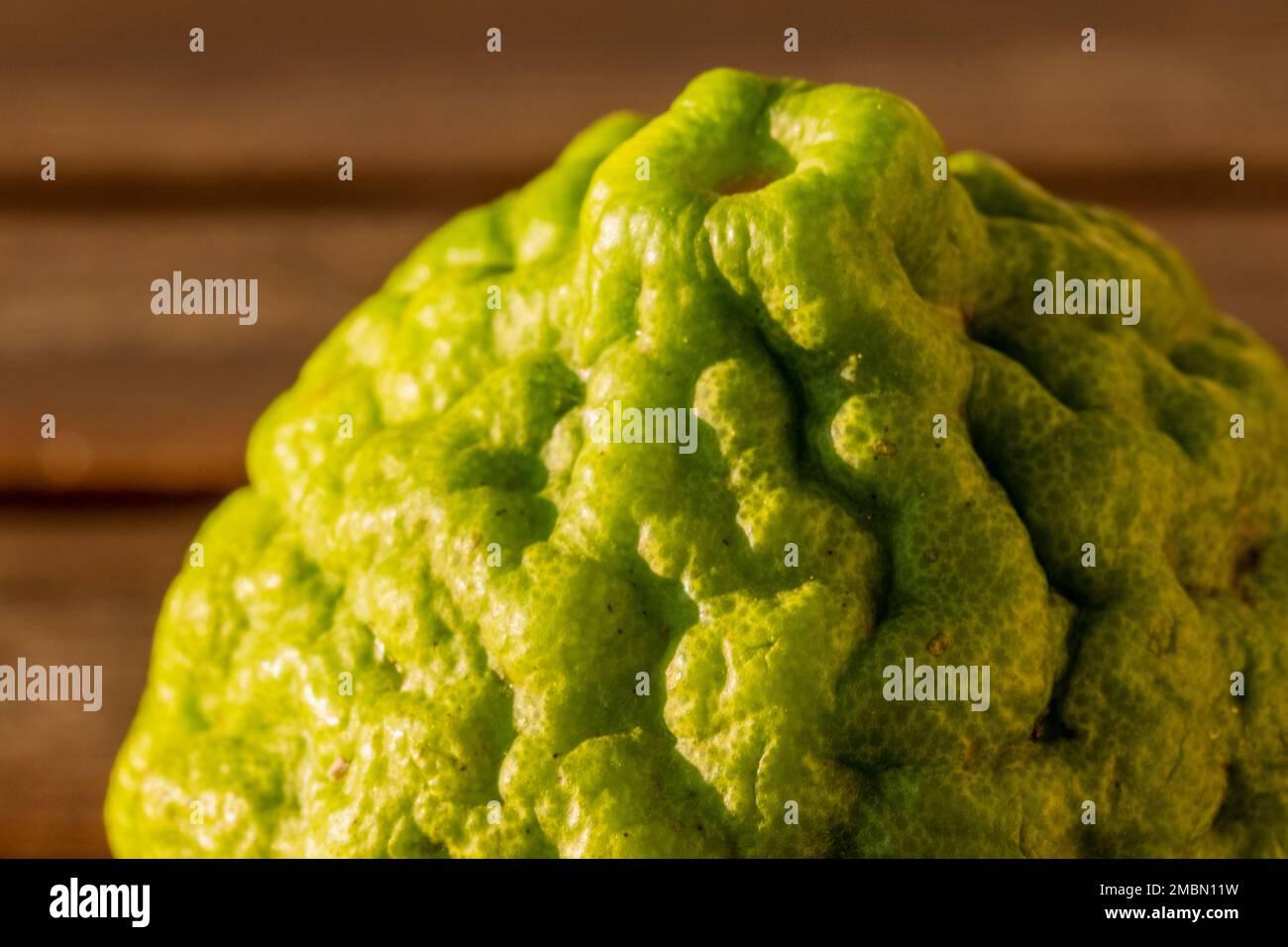 Close-up on Kaffir Lime green shell pattern. Fresh ripe lemon fruit. Pure antioxidant vitamin C. Natural food background, copy space. Side view. Stock Photo