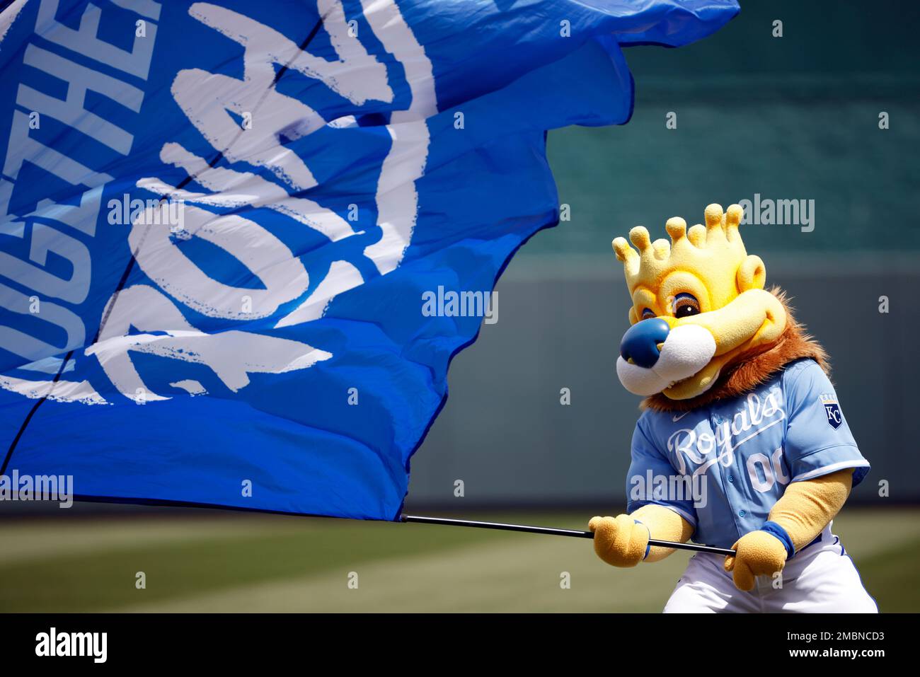 Kansas City Royals mascot Sluggerrr waves a flag before a baseball game  against the Cleveland Guardians in Kansas City, Mo., Sunday, April. 10,  2022. (AP Photo/Colin E. Braley Stock Photo - Alamy