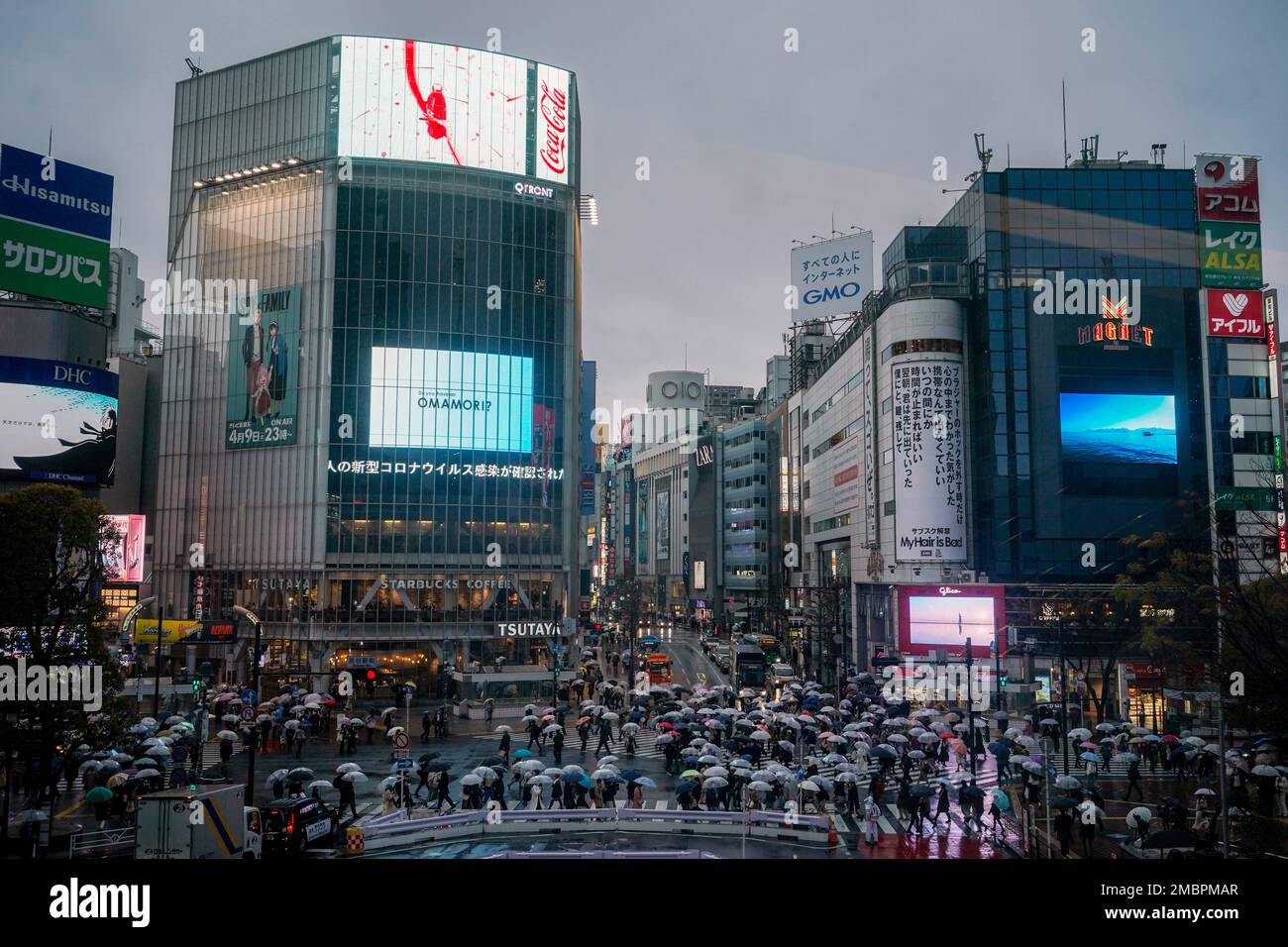 Umbrellas fill the famed Shibuya scramble crossing as people walk ...