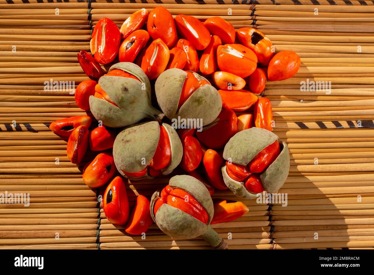 A basket of ripe Trichilia emetica, also known as Natal mahogany or mafura, with some of its distinctive red seeds still nestled in the pod Stock Photo