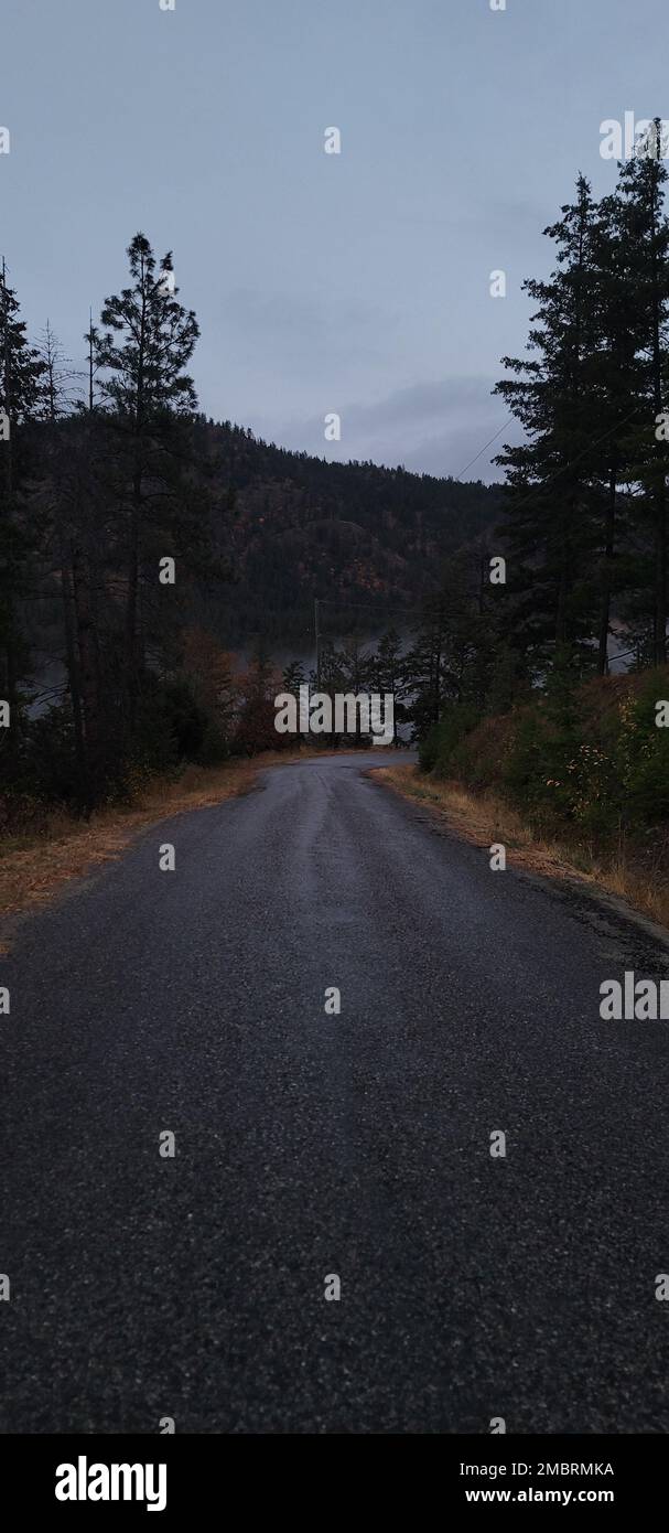 A vertical shot of an asphalt road in a green forest on a cloudy day ...