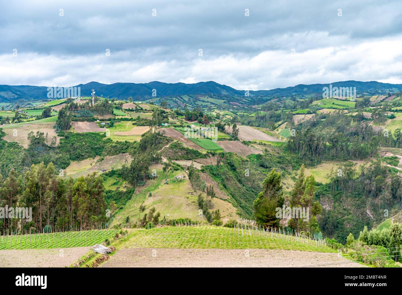 nature in the mountain landscape of Colombia Stock Photo - Alamy