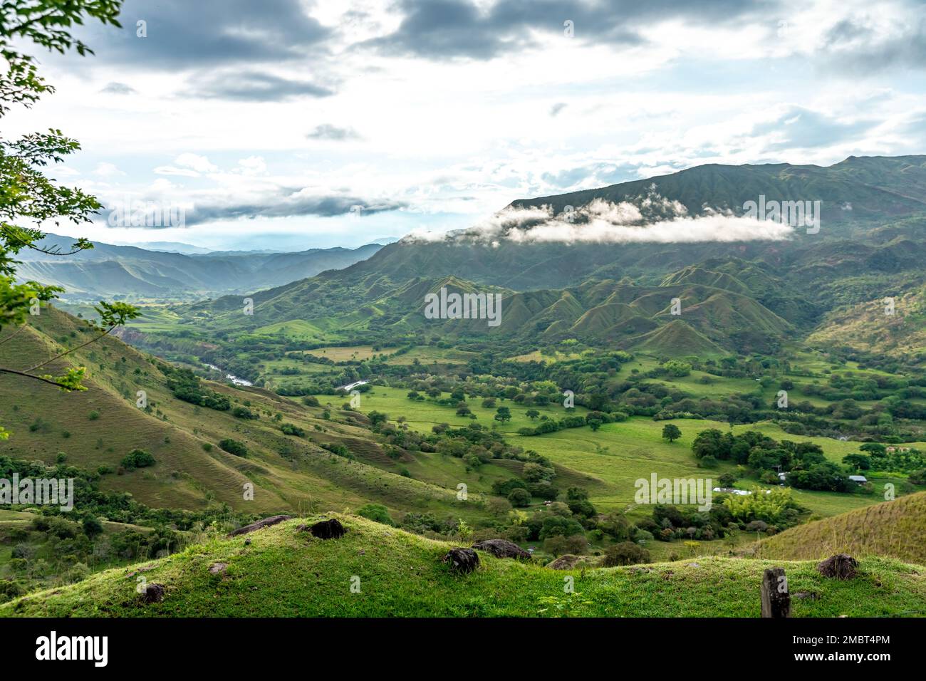 nature in the mountain landscape of Colombia Stock Photo - Alamy